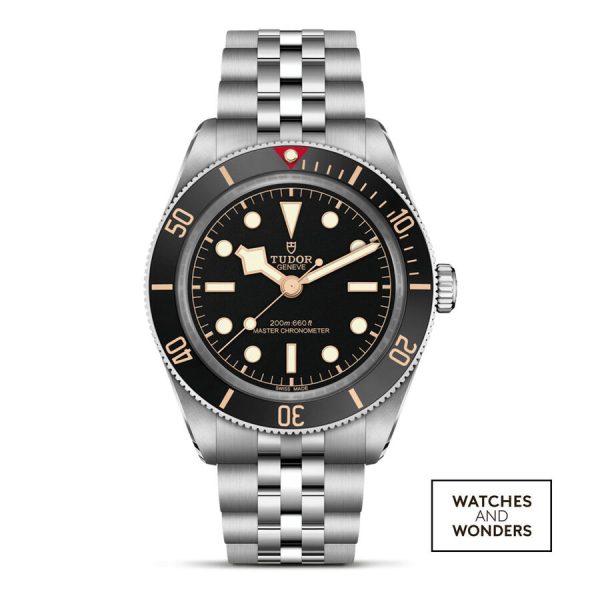 TUDOR orë Black Bay 39mm çelik inoks
