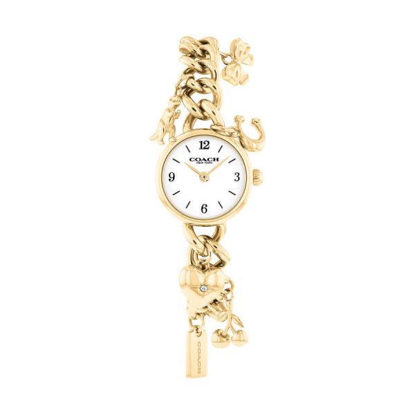 Coach orë Iris 22mm çelik
